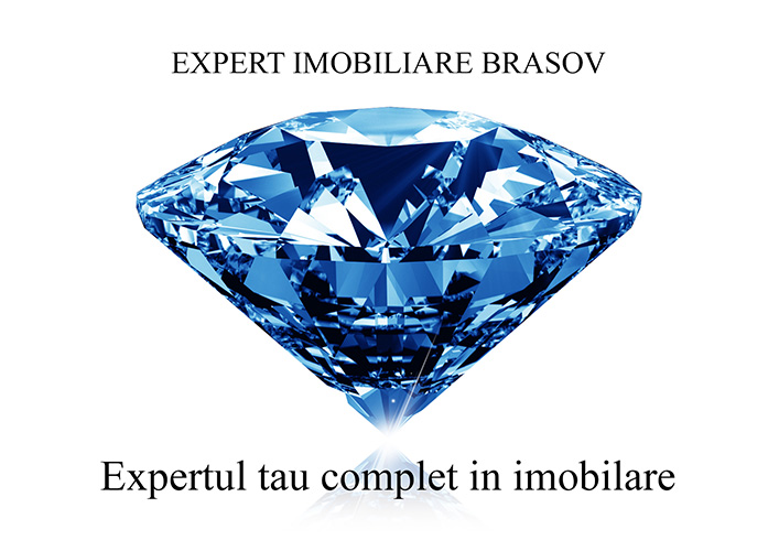 Design logo agentie imobiliara - Expert Imobiliare - Brasov